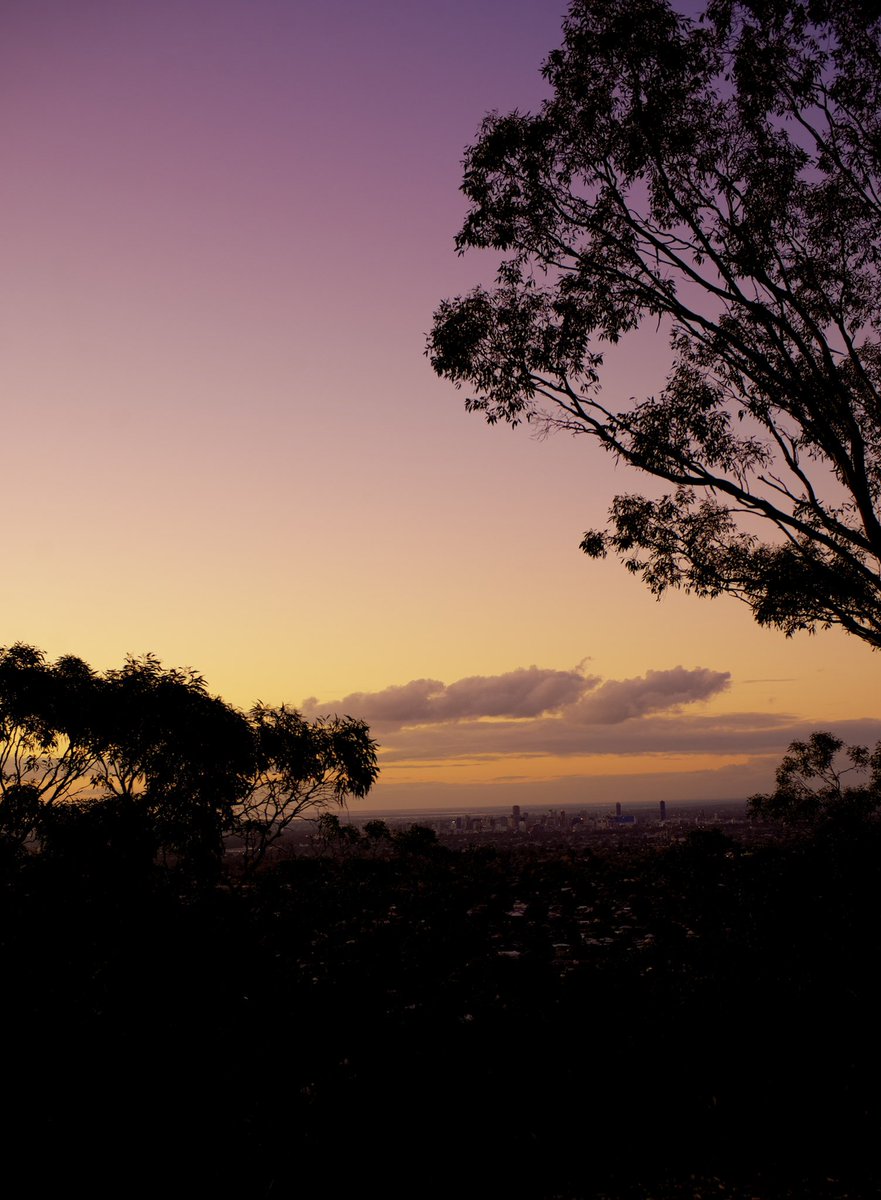 Photograph_Liu's tweet photo. #digiplat5
#digiplat2020
#Adelaide 
#PhotoOfTheDay https://t.co/LPRZW709x9