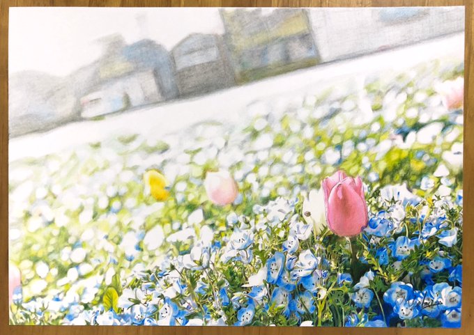 A List Of Tweets Where Yukimon Was Sent As 色鉛筆画 1 Whotwi Graphical Twitter Analysis