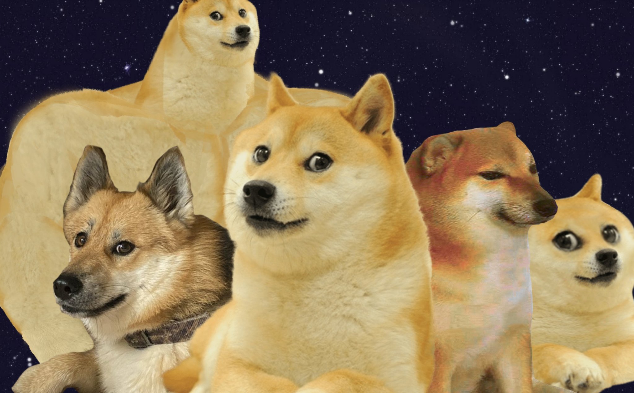 Сиба-ину Doge