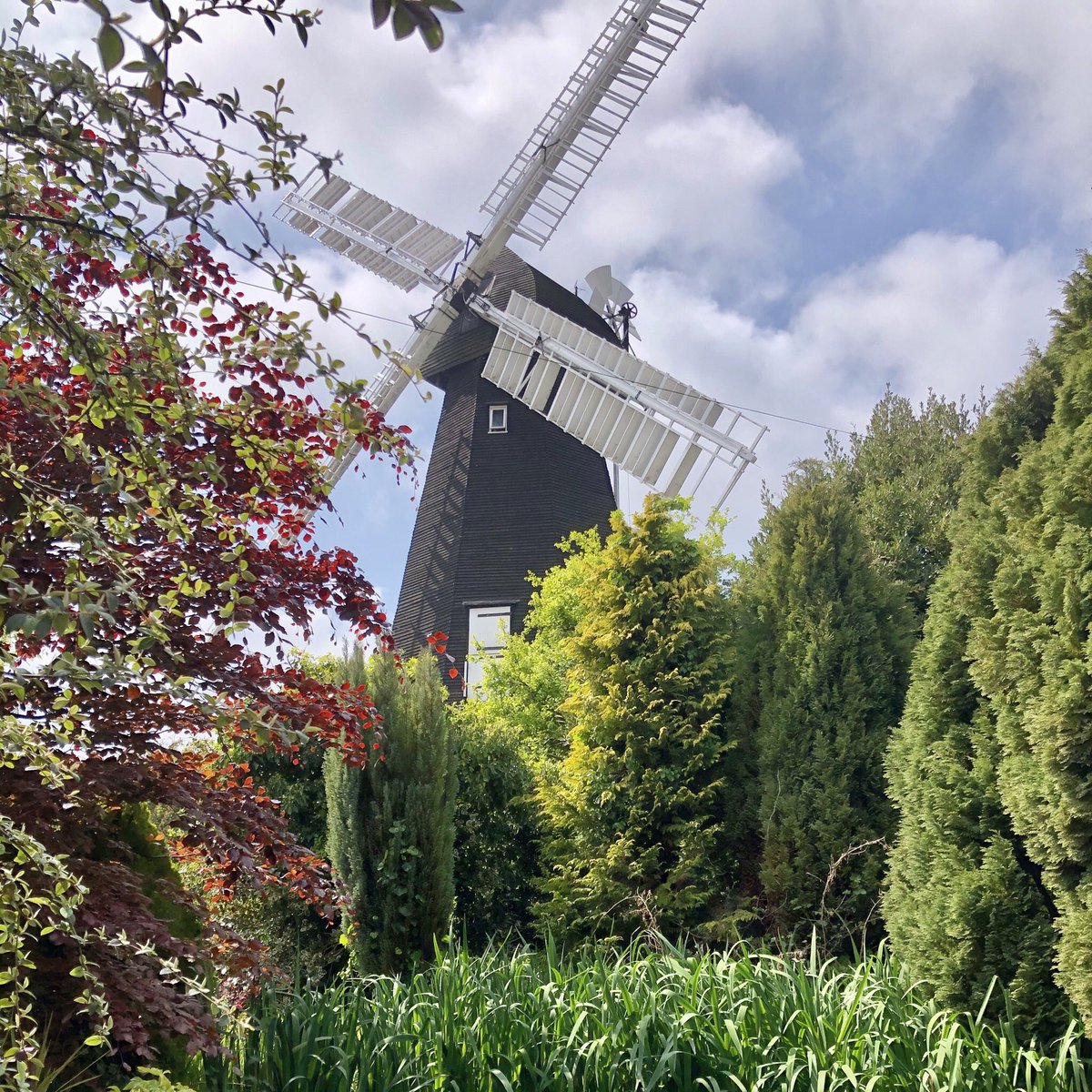 It feels weird not having all our lovely visitors coming to #HerneMill this weekend for #NationalMillsWeekend.
We hope you’re staying safe & well - we look forward to welcoming you back in the future when it is safe☀️

Photo Credit: Clare, one of our wonderful #volunteers 😊