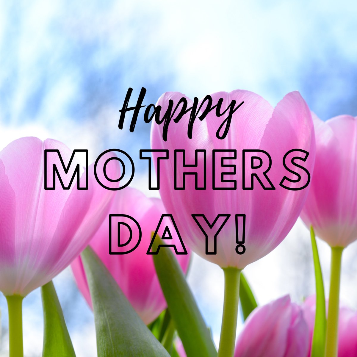 CVSDcolts's tweet image. Happy Mother’s Day to all the CV moms, step-moms, foster moms, grandmothers, great-grandmothers...you get the idea! 🌸 

Have a wonderful day! 

#MothersDay
#CVstrong