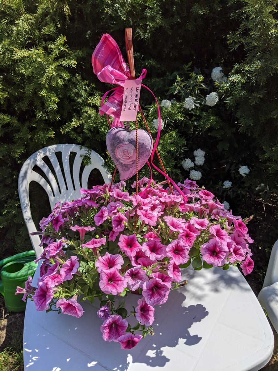 FriedholdMatz's tweet photo. 𝗙𝗲𝘀𝘁𝗮 𝗱𝗲𝗹𝗹𝗮 𝗺𝗮𝗺𝗺𝗮
Moederdag
Mødre dag
Mors dag
Fête des mères
Dzień matki
Dia de las madres
Dia das mães
Den' materi
Mother's Day
Motinos diena
Mātes diena
Äitien päivä
Iméra tis mitéras
Muters tog
Muttertag 
.. https://t.co/93F9LrAK26