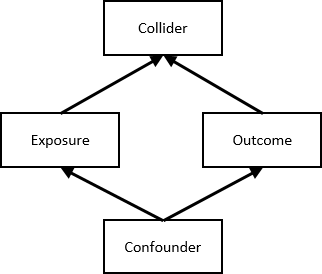 1st, collider bias is unintuitive. A collider is a variable that is influenced by two other variables of interest. Kinda the opposite of a confounder. While we want to adjust for a confounder (to break the induced association btw variables), we don't want to adjust for a collider