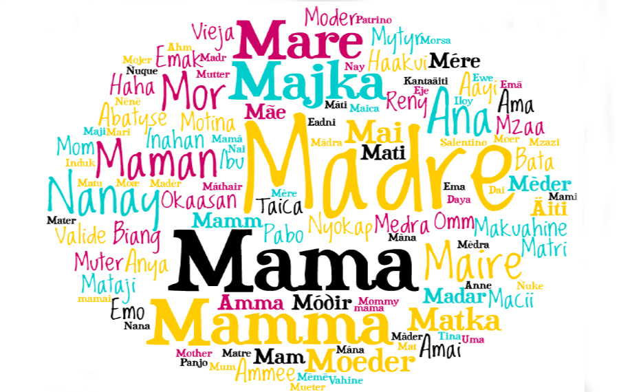 Carpe Idiom tweet media