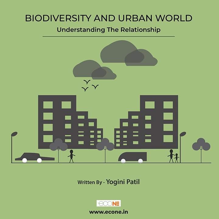 EconeMagazine's tweet photo. Yogini Patil writes about significance of #urbanbiodiversity #biodiversityofindia #urbanbiodiversityofguwahati .A healthy biodiversity is must for the stability and sustainability of the planet #econe 

https://t.co/lc0PPELZfZ https://t.co/eqtJZtTUro