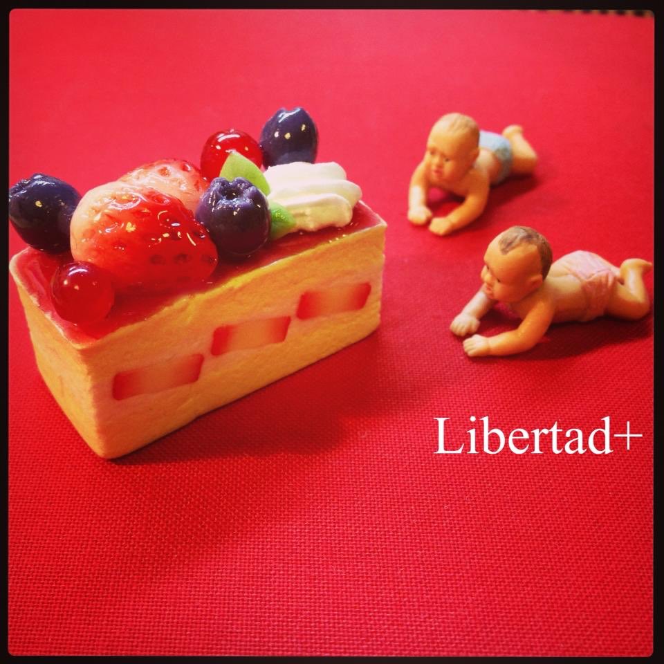 Libertadplus tweet picture