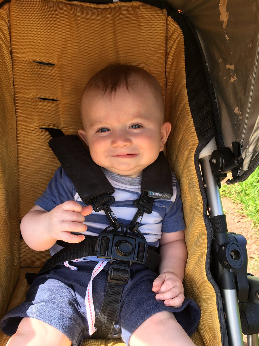 beingdadtastic's tweet photo. Yesterday I took the younge up to @SheppysCider orchard walks! It was a glorious day and the walks are sensational! Definitely worth popping up with the family for your daily exercise! #dadlife #familydayout #beingdad https://t.co/ARWBIDTzqD