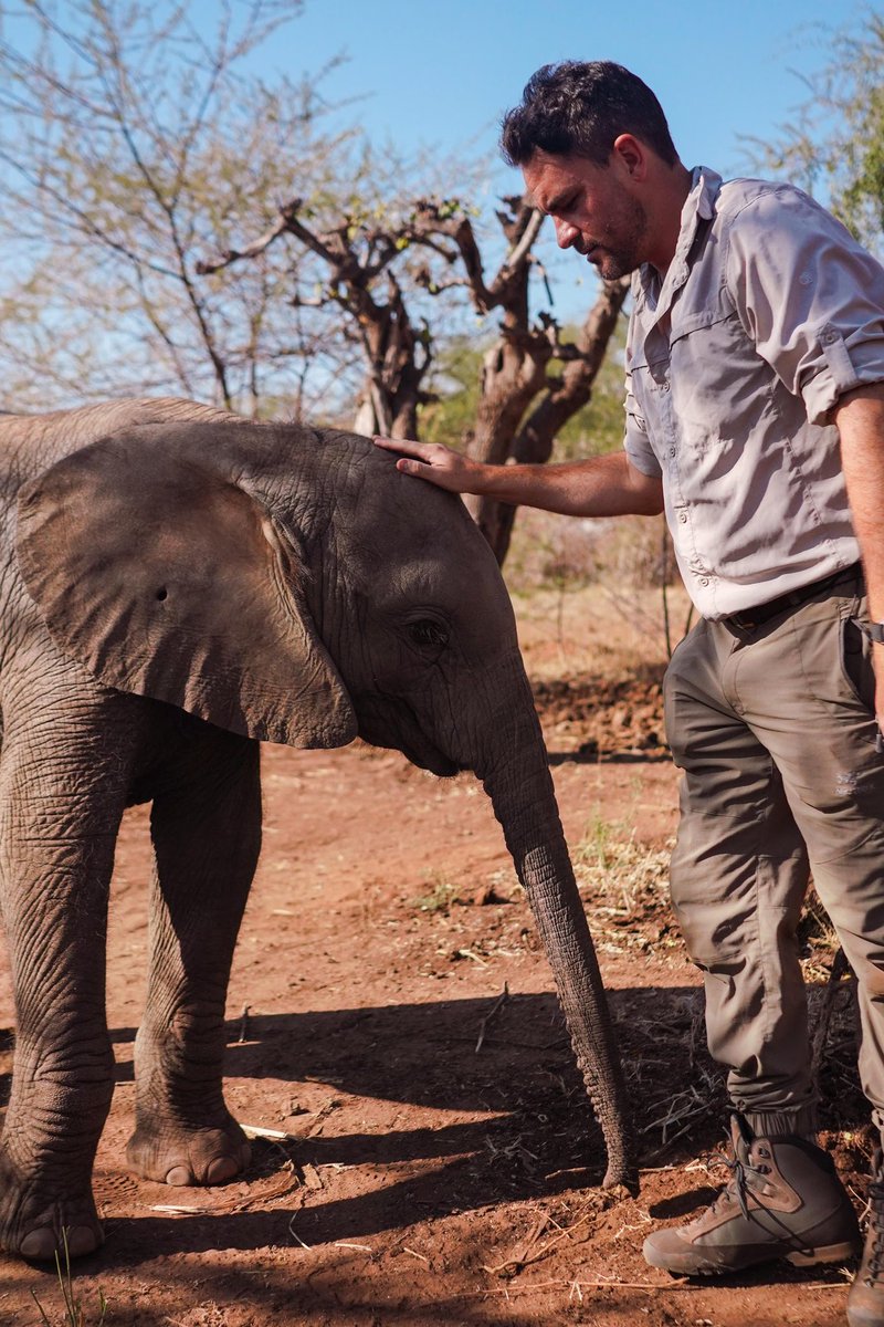 Levison Wood tweet media
