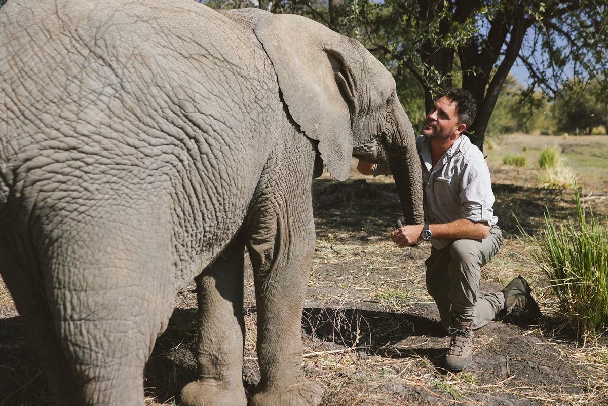 Levison Wood tweet media