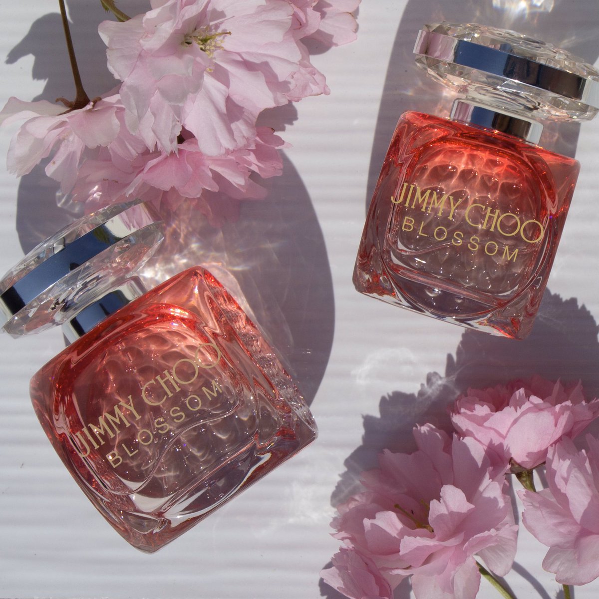jimmy choo blossom fragrance shop
