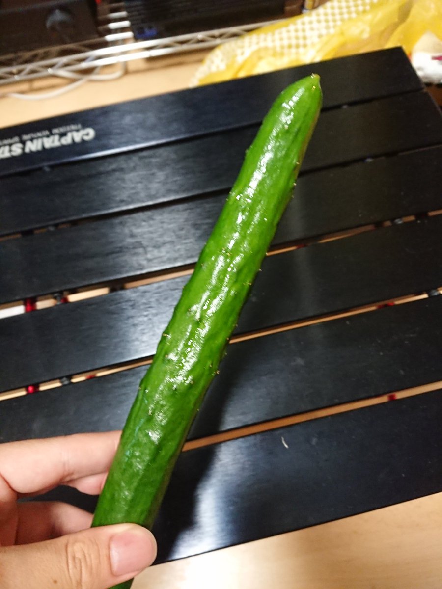 野菜 スティック 芸能人