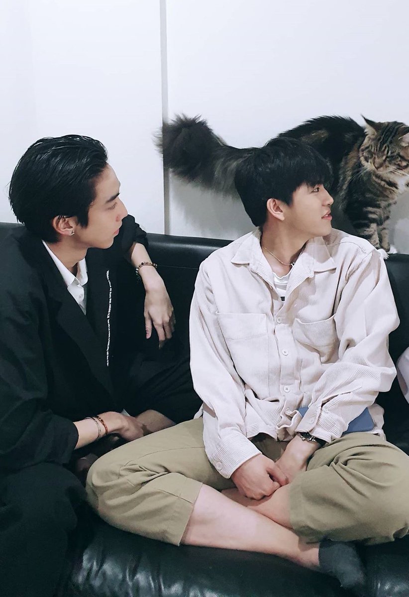 จองเจล 🍀 柔倩 •刘宇Yu_ tweet media