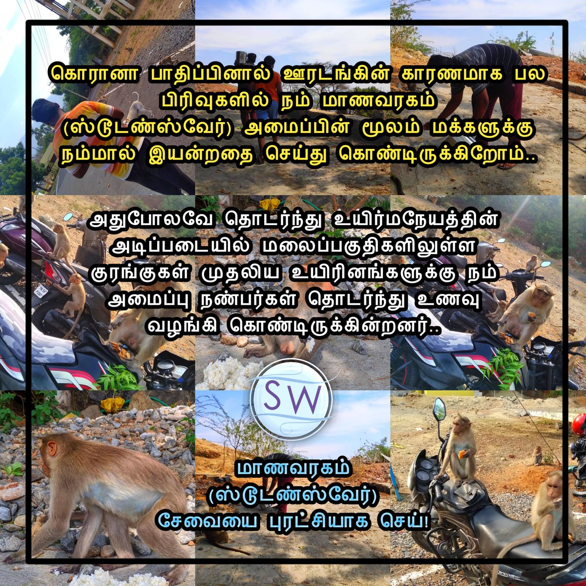 Studentswarein's tweet photo. உயிர்மநேயத்தின் அடிப்படையில் மலைப்பகுதிகளிலுள்ள குரங்குகள் முதலிய உயிரினங்களுக்கு நம் அமைப்பு நண்பர்கள் தொடர்ந்து உணவு வழங்கி கொண்டிருக்கின்றனர்..
#Studentsware https://t.co/G2FeHGrijl