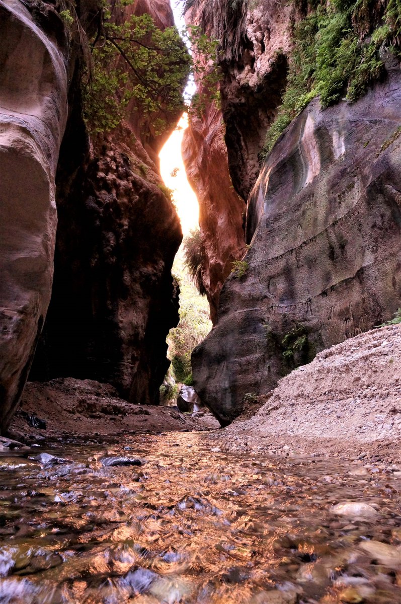 Giselleinmotion's tweet photo. Day10 of #MayIRecommendA2Z is J and I'm recommending #Jordan and the fabulous @FeynanEcolodge. 
@journiesofalife @ExpressionsSA @live4sights https://t.co/Uy6rwAnMPE