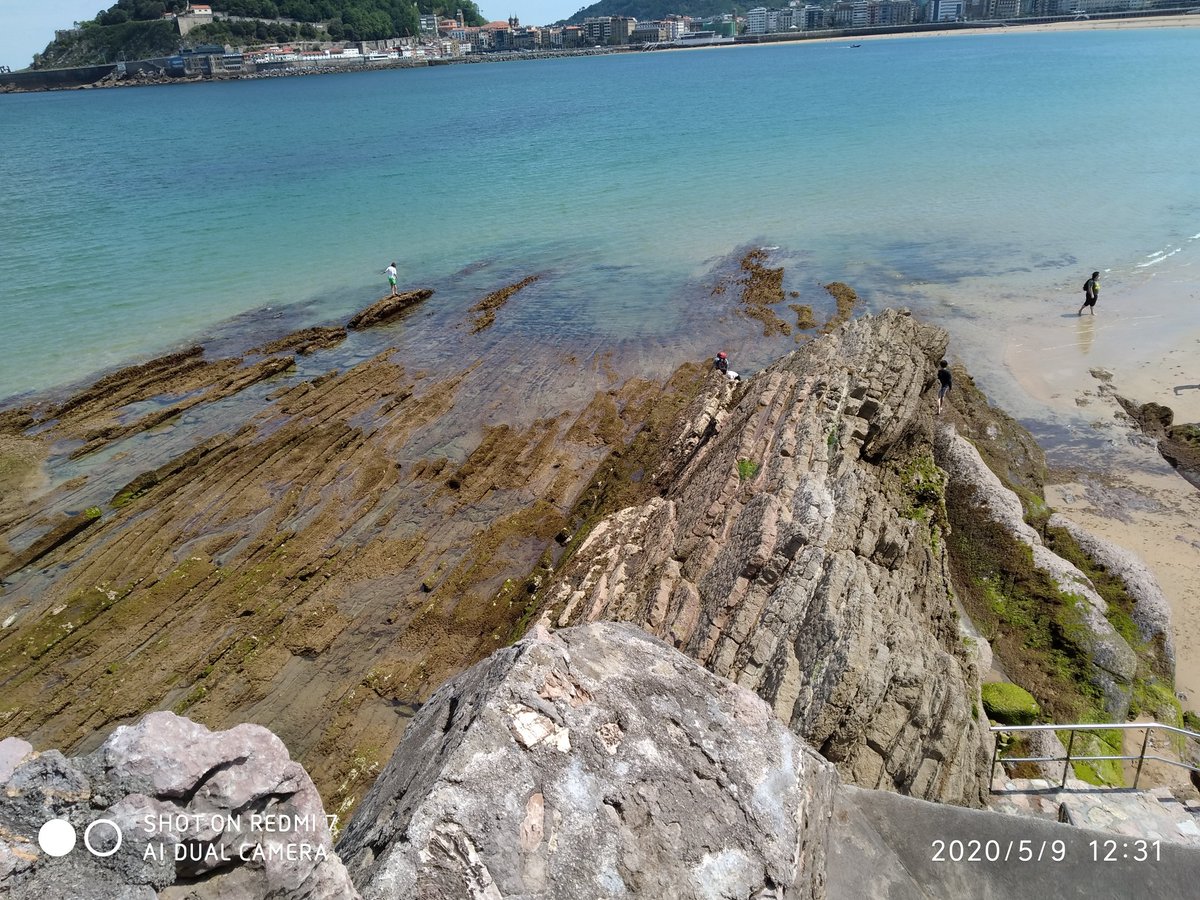 hoberena's tweet photo. @AEMET_PaisVasco ayer en la bajamar era visible el #flish que se encuentra debajo de la arena en #Donostia https://t.co/3rEy6b6MAW