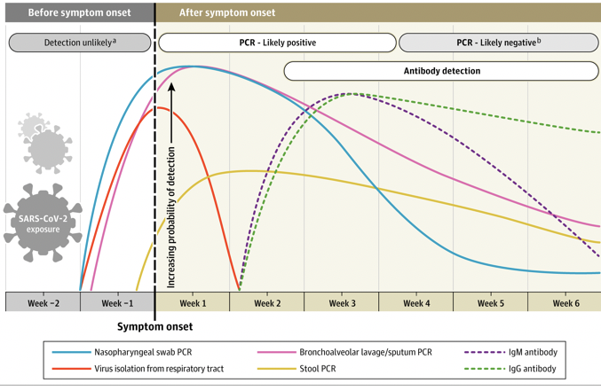 A clinically useful timeline of diagnostic markers for detection of COVID-19  https://jamanetwork.com/journals/jama/fullarticle/2765837 Many questions remain, particularly how long potential immunity lasts in individuals, both asymptomatic and symptomatic, who are infected with SARS-CoV-2.