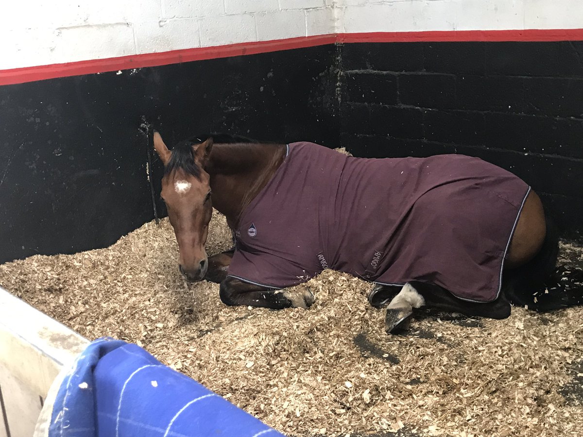 David Doel tweet media