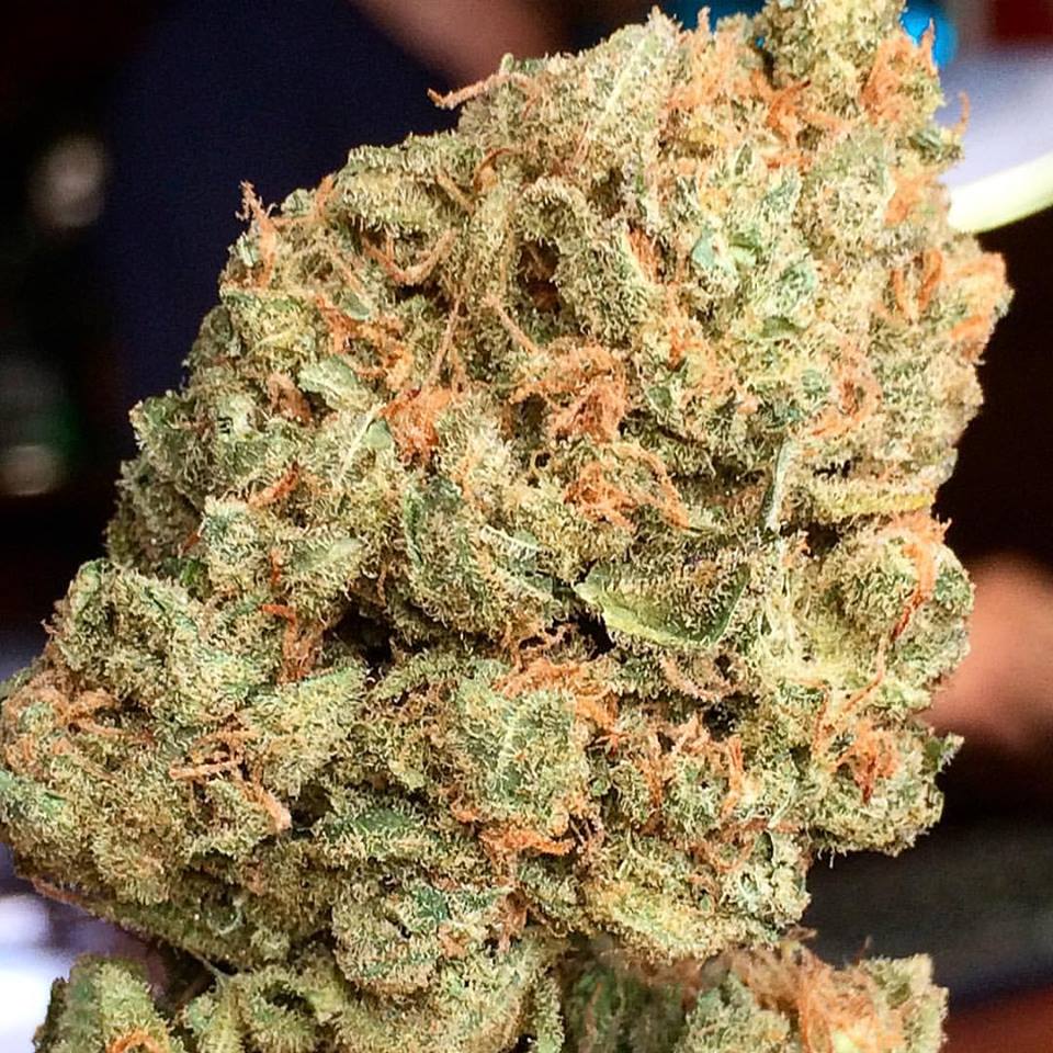 BudsSteven's tweet image. Lets us try to see how we keep our self high with top quality buds