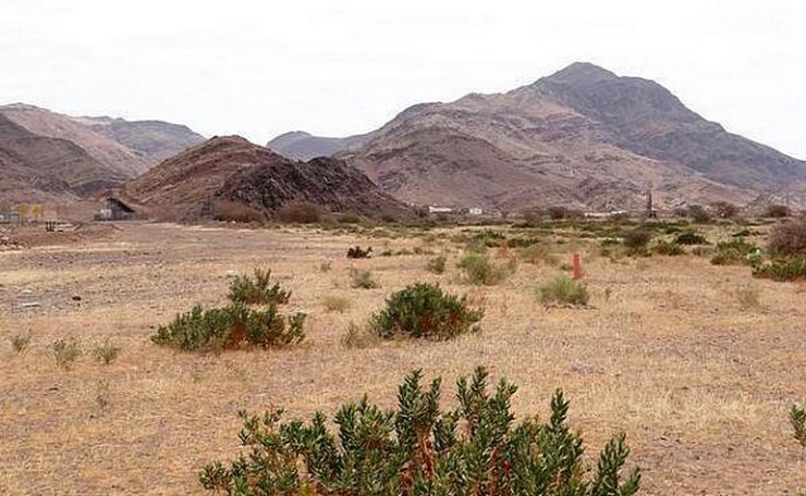 (5/13)Wadi DhafiranThis is a valley outside the boundaries of Madinah. It is where the Prophet (ﷺ) consulted with the Ansar after it became clear the Muslims will be engaging in battle with the Quraysh. The Ansar pledged their full support.