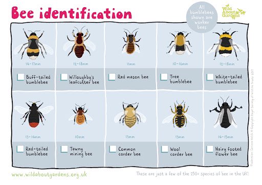 ForestSchoolFun's tweet photo. Good to see that some bees have taken up residence in our hotel. Itโs a simple make; take an off cut of wood and drill holes in it! Why not use the #BeeIdentification sheet to see what you can spot out in your garden ๐ @beeoutdoors9 @WildlifeMag @GetOutKids @ForestSchoolFun https://t.co/zLcIxe1qW3