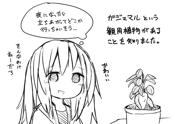 今日の日記 