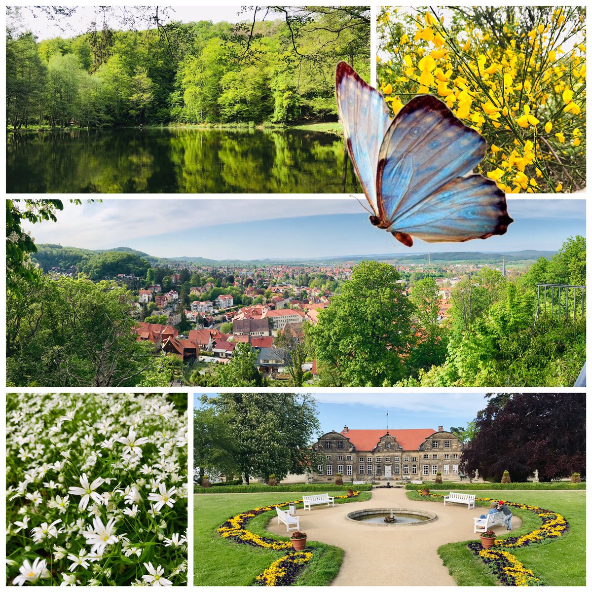 SWernigerode's tweet photo. Erleben Sie diesen wunderschönen Ort und viele weitere schöne Ausflugsziele im Harz bei einer Wanderbegleitung, E-Bike Tour oder bei einer Reisebegleitung mit einem Reiseleiter.
Stadtführung Wernigerode https://t.co/VASadqr277