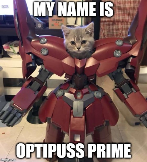 BEST Bucharest tweet media