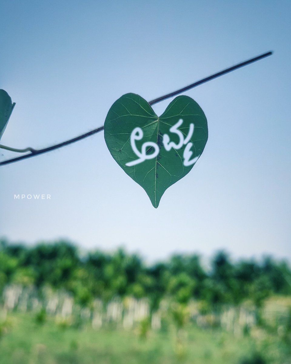 maruthi_power's tweet photo. I tried lot to write Mom but 🤦🏻‍♂️I beginning learned ಅಮ್ಮ(Amma)🙏🍃Happy mothers day https://t.co/G3fL6jlqbP