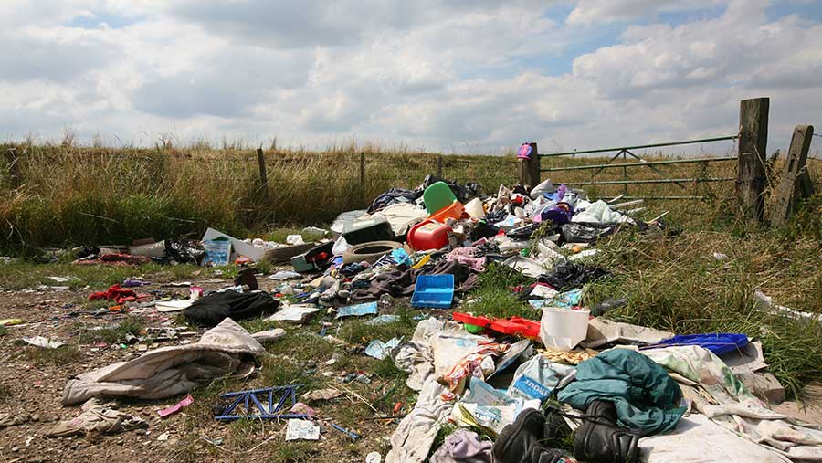 The garden waste fly tipper is the person who has not yet discovered the joy of compost-making.  You could find almost any garden plant on fly-tipped waste, but these are the most likely to be seen.