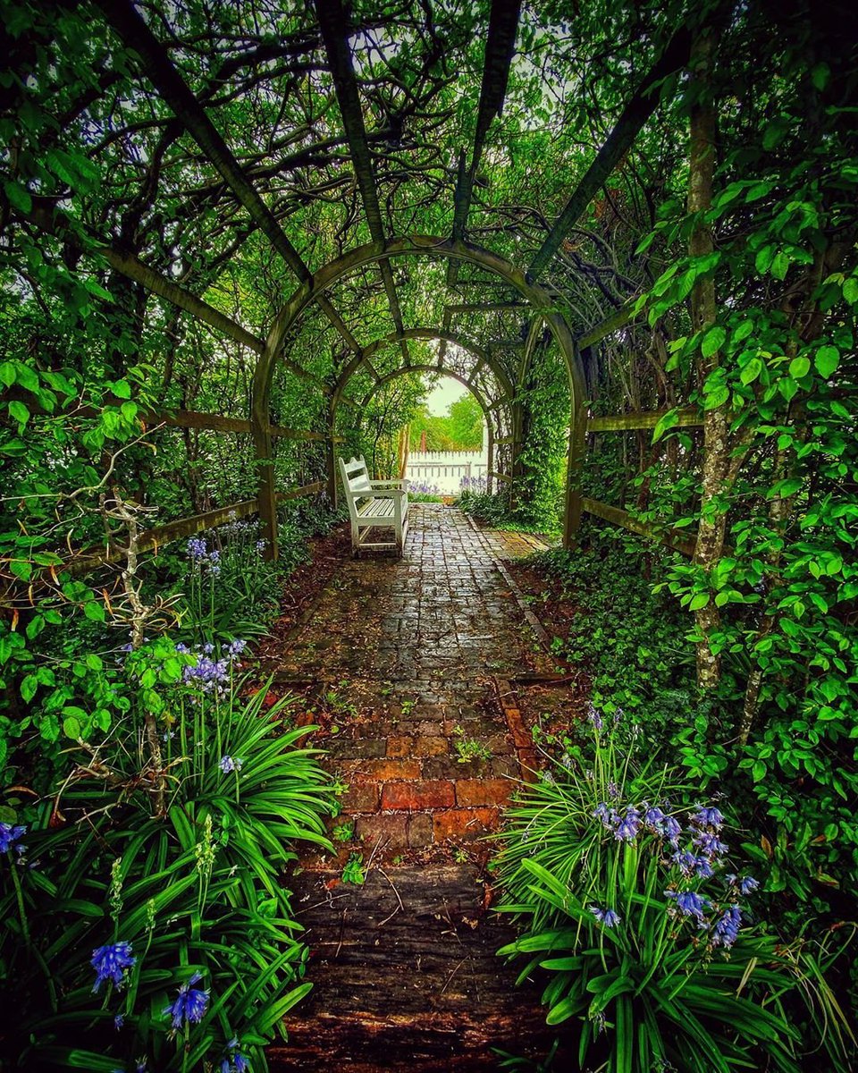 757collective's tweet photo. Shelter from the storm. The beautiful arbor located behind the George Wythe House. Photo by @tsean64 https://t.co/nhClhU0TbV