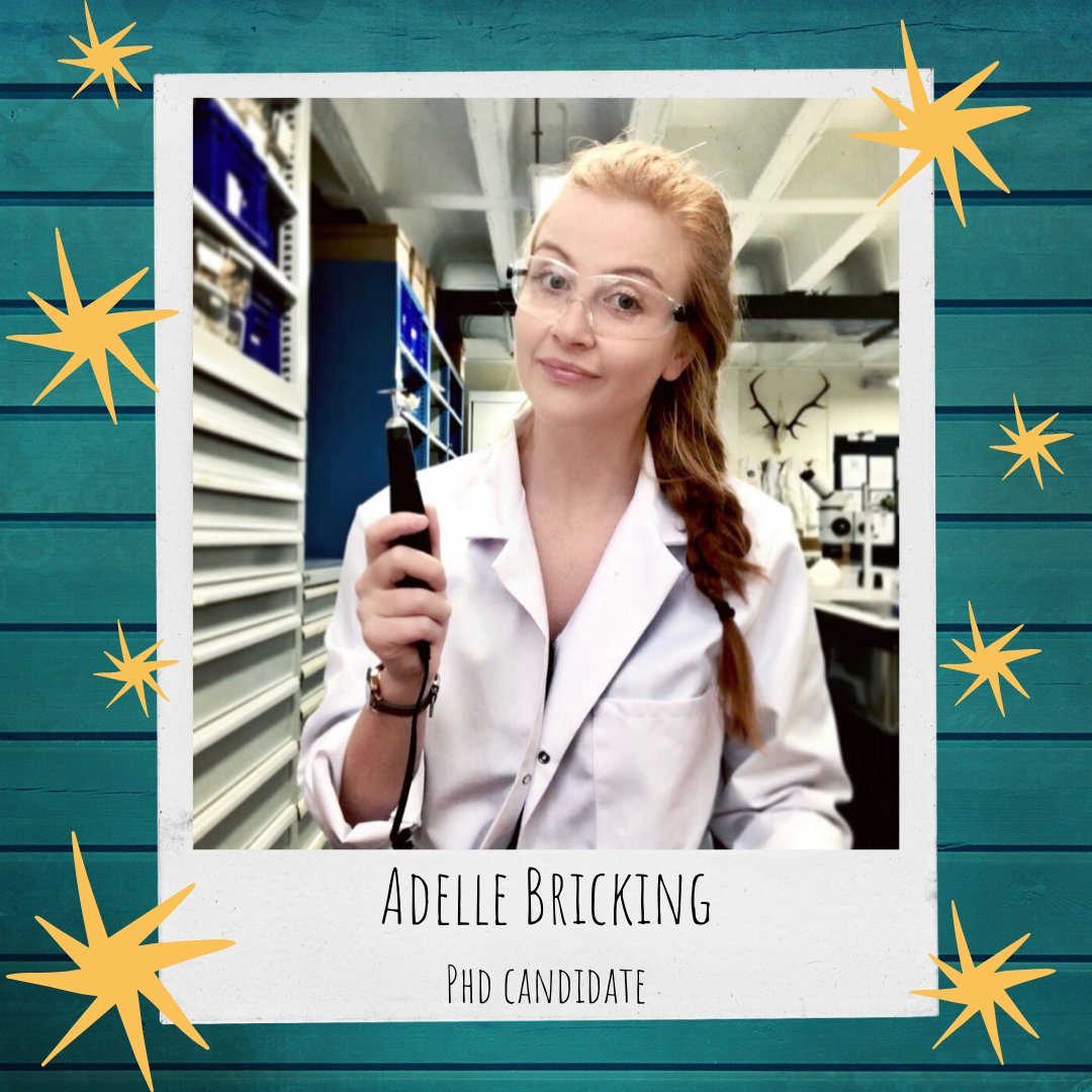 CUBALab's tweet photo. #StudentSpotlightSunday ft PhD student Adelle Bricking! Adelle is researching #IronAge mortuary practice in southwest Britain by compiling burial data + histological analysis on human bone from case study sites to determine early postmortem treatments. #CUArch100 https://t.co/uFQa92Uor1