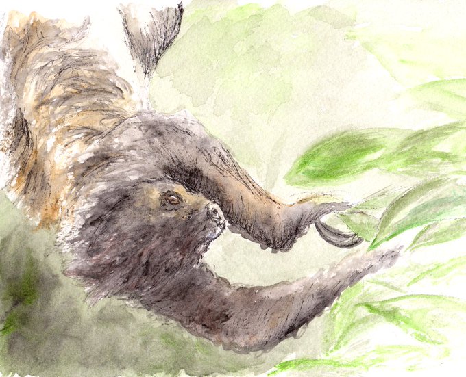 Slothのtwitterイラスト検索結果 古い順