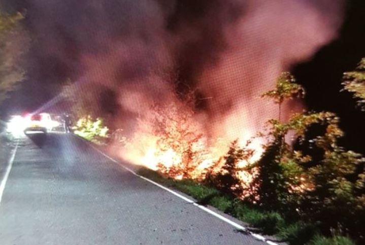 WalesOnline 🏴󠁧󠁢󠁷󠁬󠁳󠁿 tweet media