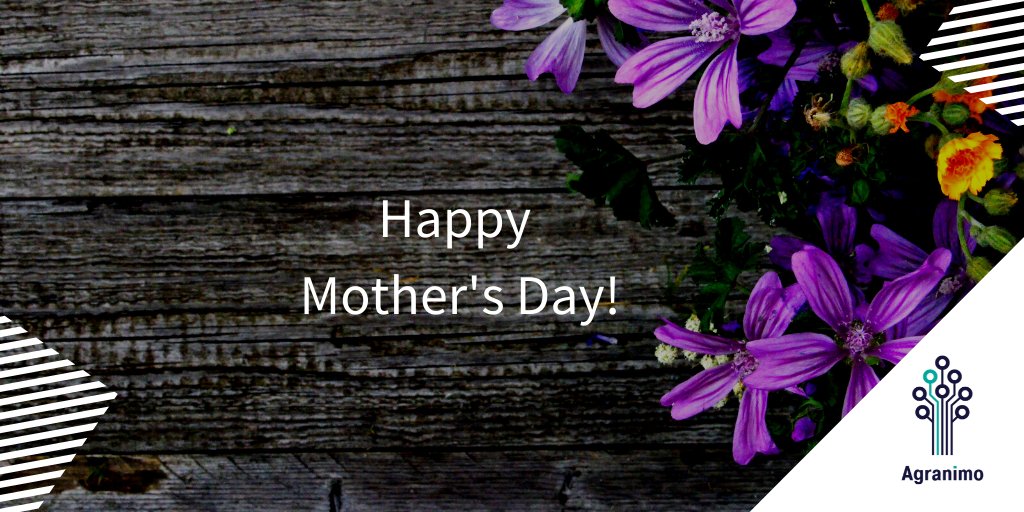 Agranimo (@agranimo) on Twitter photo 