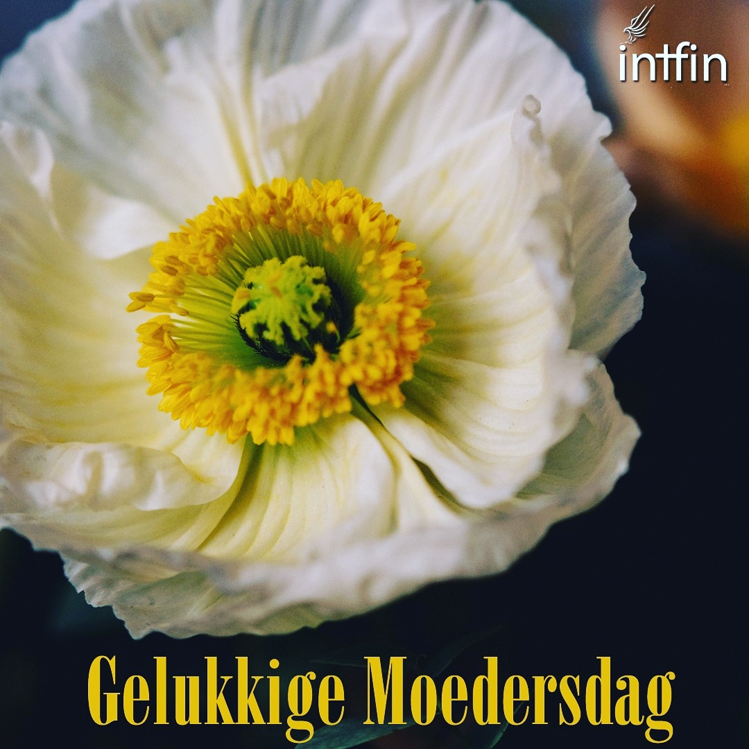 Intfin_Insure's tweet photo. Alle mamma's
Dankie vir julle https://t.co/1tLzeE5sRU