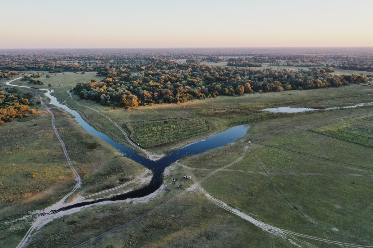 BotswanaTourism's tweet photo. After 18 months since the last floods and having travelled 2000km from the Angolan highlands, the first waters of the 2020 Okavango flood reached the Thamalakane River and Maun yesterday.⁣ 
⁣
#ilovebotswana #destinationbotswana #traveltomorrow https://t.co/wVu2UrW3uO