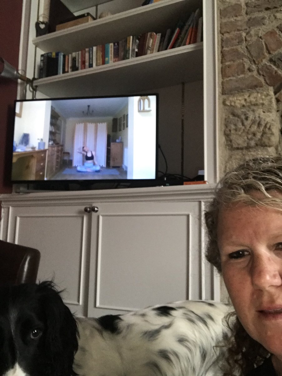 A virtual yoga class for #wotfest2020 with extra help from #ZacDog, thank you!