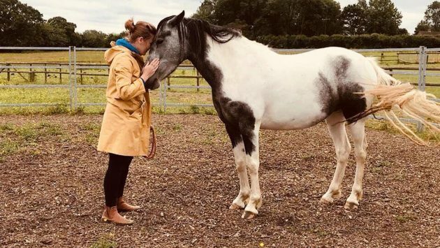 horseandhound's tweet photo. Equine therapy centre offers free sessions for key workers after lockdown https://t.co/YwV1Oa6qCg https://t.co/5hoRsmrBlc