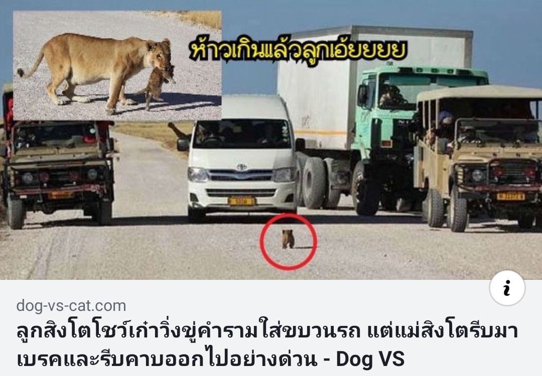 เบบ ณ ค๊ะ tweet media