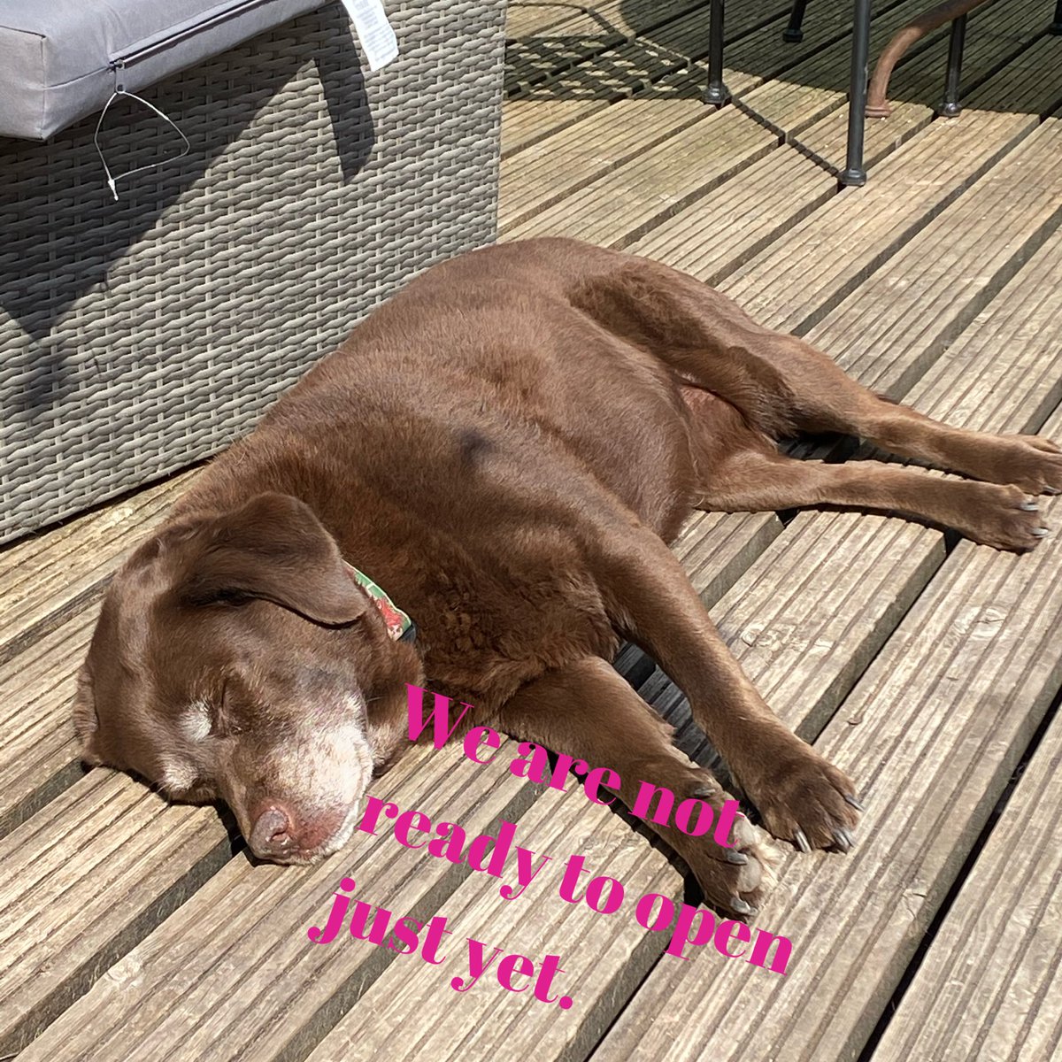 We’re not ready to open yet. Unlike this sun goddess tho, we are working hard at putting robust plans in place so that when we do open, it’ll be as safely as we possibly can. #Stayhome #staysafe #bekind