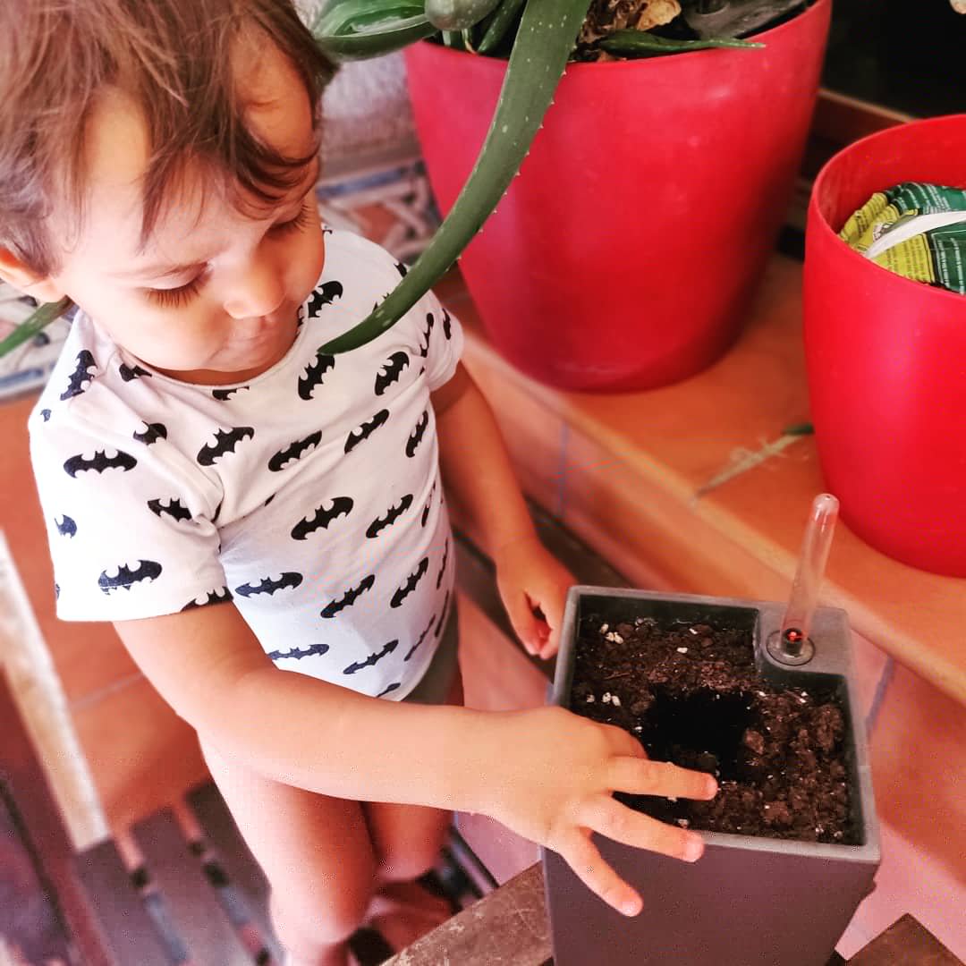 Escola PAIDOS tweet media