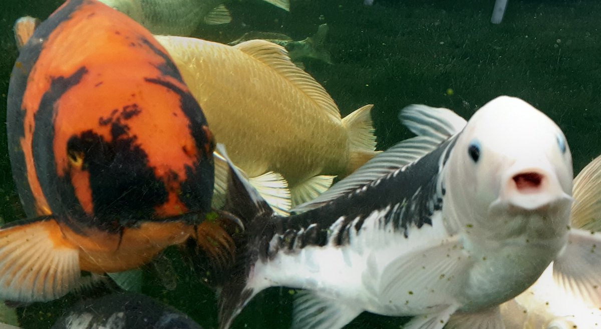 Day 2/7 #mylifeinpictures no people, no words, nominate a new person each day. I was nominated by the glorious <a href="/alisonbolton/">Ali Bolton</a> and today I challenge the wonderful @Catheri94058416