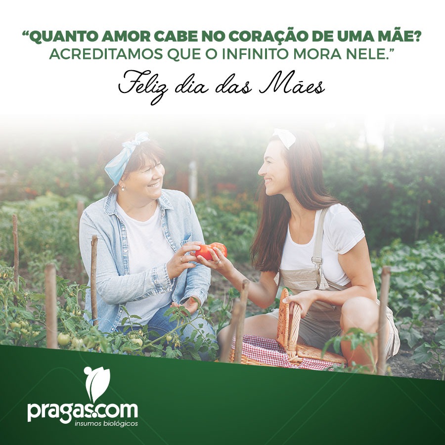 Uma data tão importante e com tanto valor, que não temos como mensurar quantos bons sentimentos ela nos remete 😍
Com carinho, para todas as mamães, desejamos um feliz dia ♥