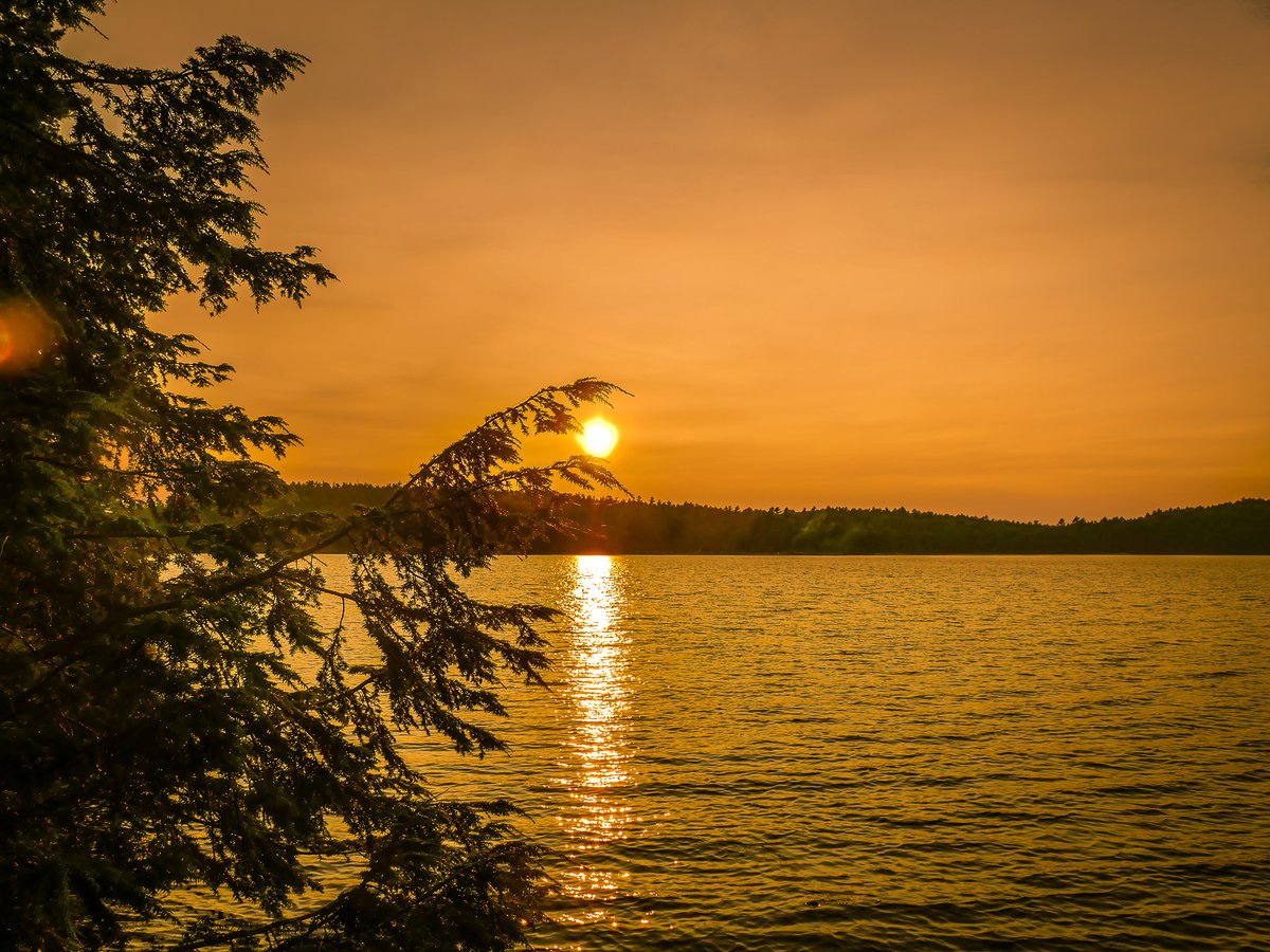samcanoetripper's tweet photo. Sunset in Killarney Provincial Park
#ontarioparks #canoecamping #backcountrycamping #fishingon #paddleon #exploreon #sunsetsunday #killarneypp https://t.co/LLSIWdkbHs