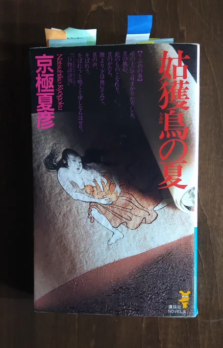 木志田コテツ氏( @KIN_G_OF_KINGS )から回ってきましたよ
#ブックカバーチャレンジ
7日間1冊ずつ手持ちの本を紹介するらしい

まずは当然このシリーズですよね 