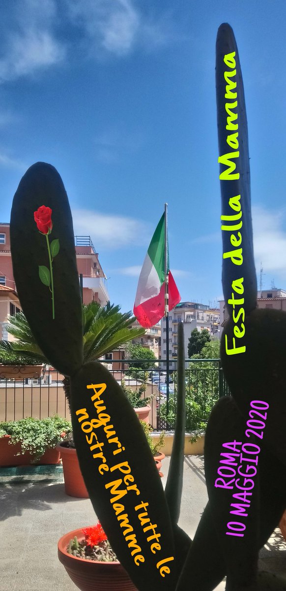 Danilo Santoro (albagiallorossa) Twitter