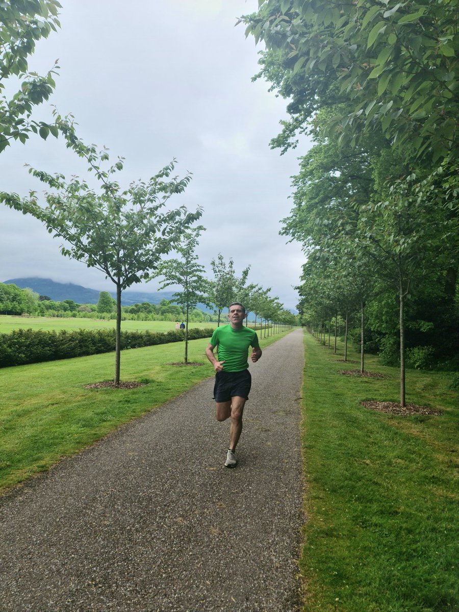 Irish Orienteering Virtual Relay.
Running hard on final leg in Killarney 
<a href="/orienteeringIRE/">Orienteering Ireland</a> <a href="/IrishOChamps/">IrishOrienteeringChampionships</a> #KerryO