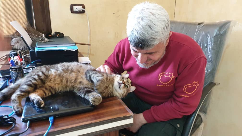 SyrianSanctuary's tweet photo. Please Vet save me ..
She has 5 kittens ..
I’m not ready to marry her ..
We cut my balls last year and now you will help me !!

this marriage is not to be done .
Quote : Manzoni . https://t.co/Etoz9cZWjl