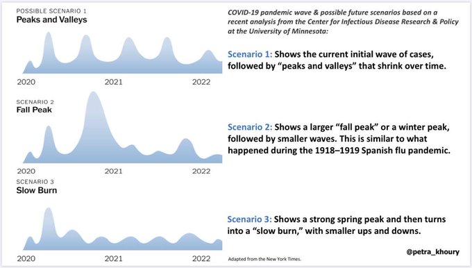 عرض الصورة على تويتر