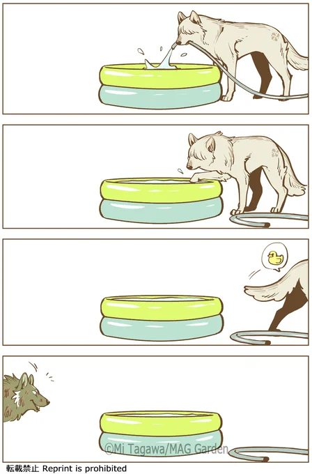 水浴び狼 #こりせんまん 